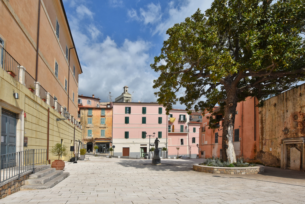 Fusce risus nisl viverra et